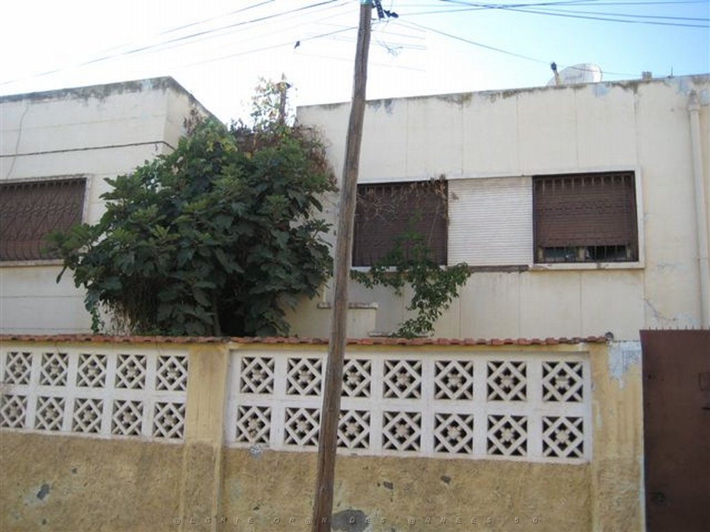ORAN SEPTEMBRE 2009 (15).jpg